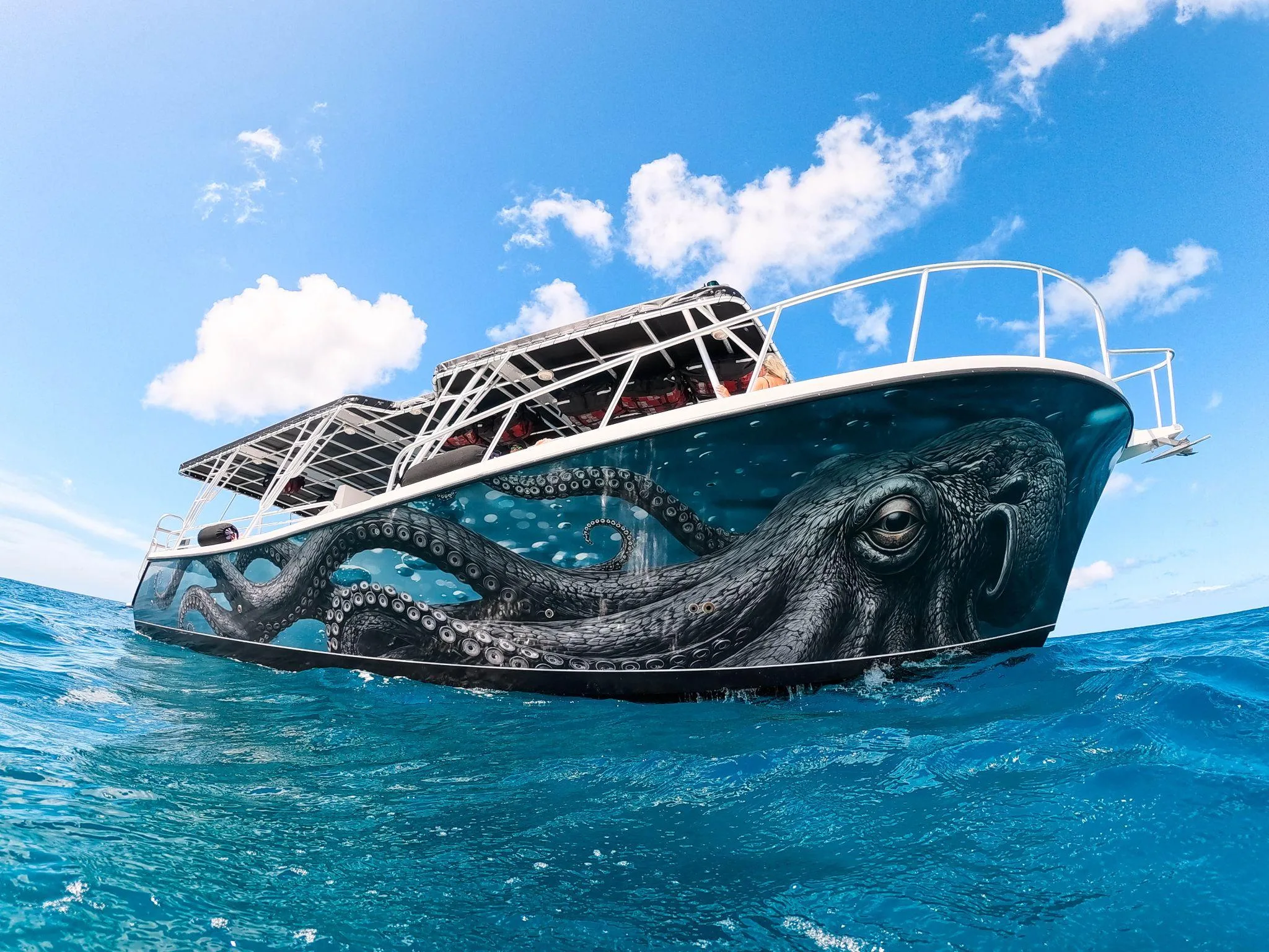 Illuminate's black hull and octopus artwork, photographed from the water.