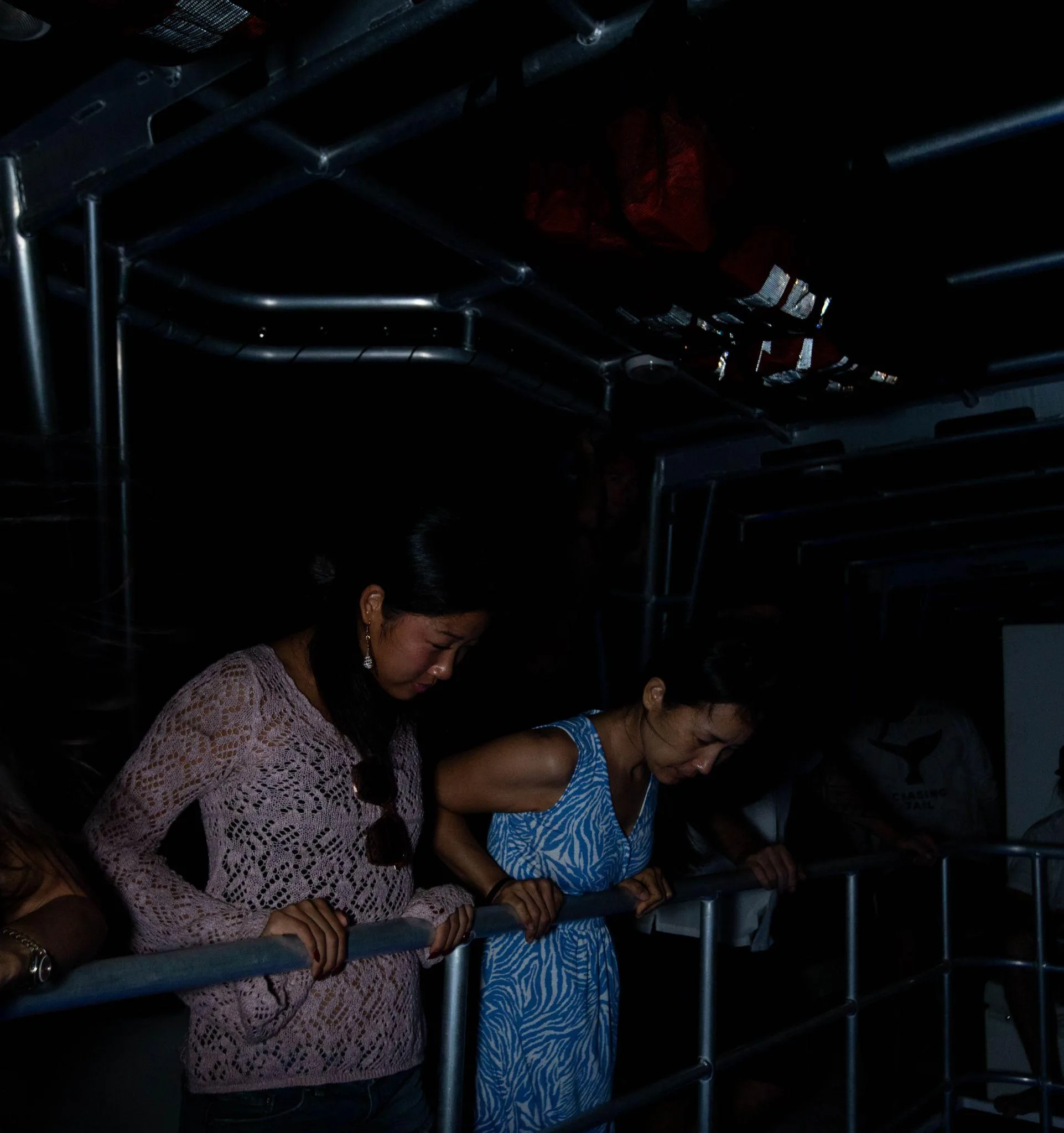 Two guests lean on the rail and look down into the viewing well in low light.